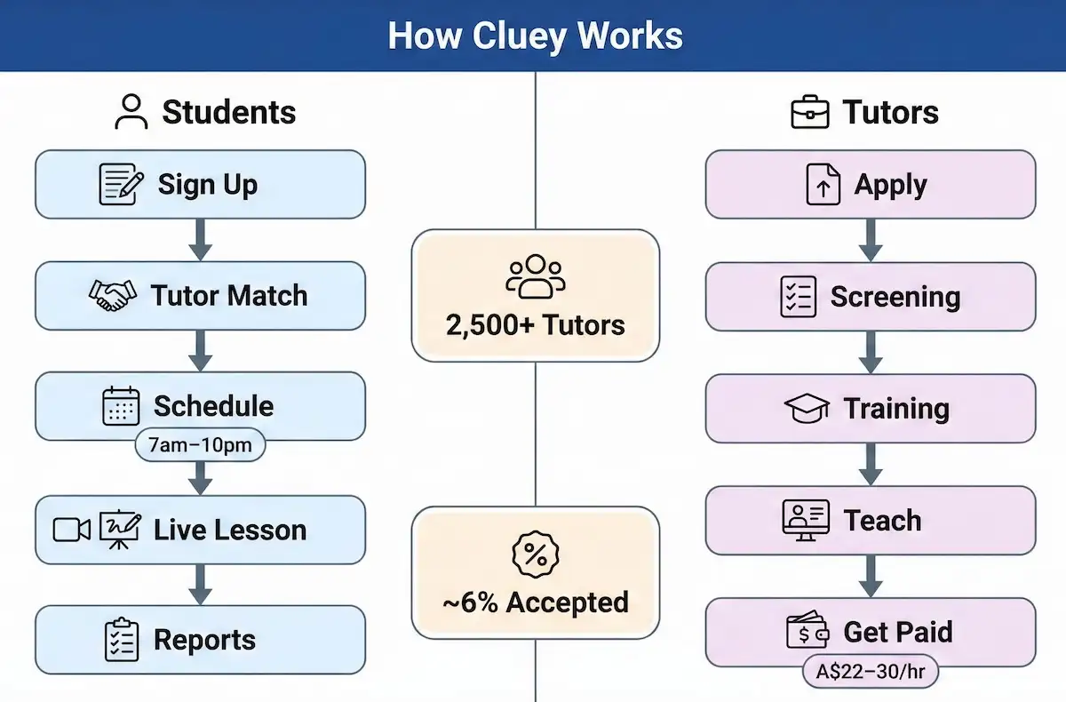 Two-lane diagram showing Cluey Learning workflow for students and tutors, from sign-up and matching to live lessons, reports, and tutor pay.