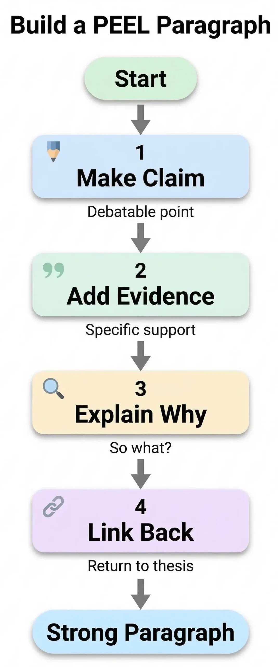 Vertical flowchart showing how to build a humanities PEEL paragraph from claim to evidence, explanation, and thesis link.