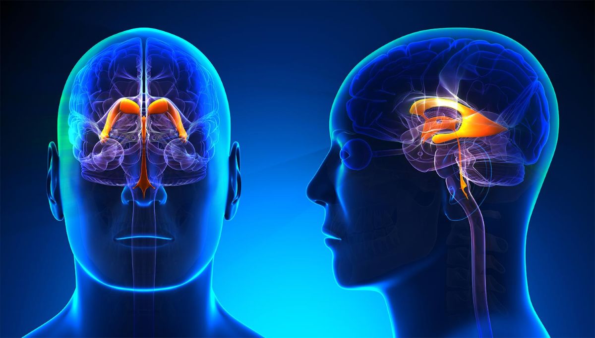 Biopsychology