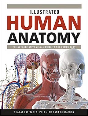 Illustrated Human Anatomy - The Authoritative Visual Guide to the Human Body by Dr Sharat Vayttaden, Dr Dana Gustafson, Sebastian Kaulitzki Publisher ‏- Firefly Books